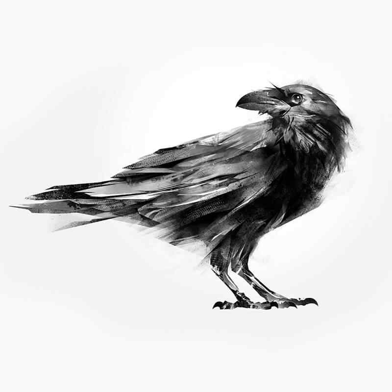https://svetlo.studio/storage/2019/03/courses_02.jpg